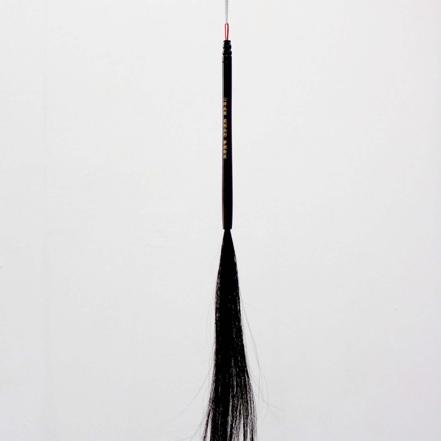 Photograph by Yen-Chao Lin